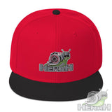 Snapback Hat