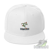 Snapback Hat