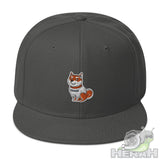 Snapback Hat