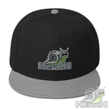Snapback Hat